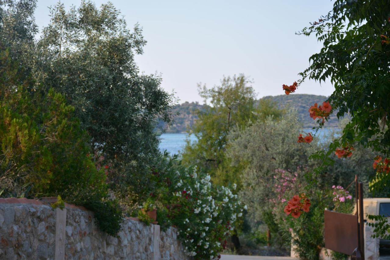 Aristotelis Epidaurus Luaran gambar