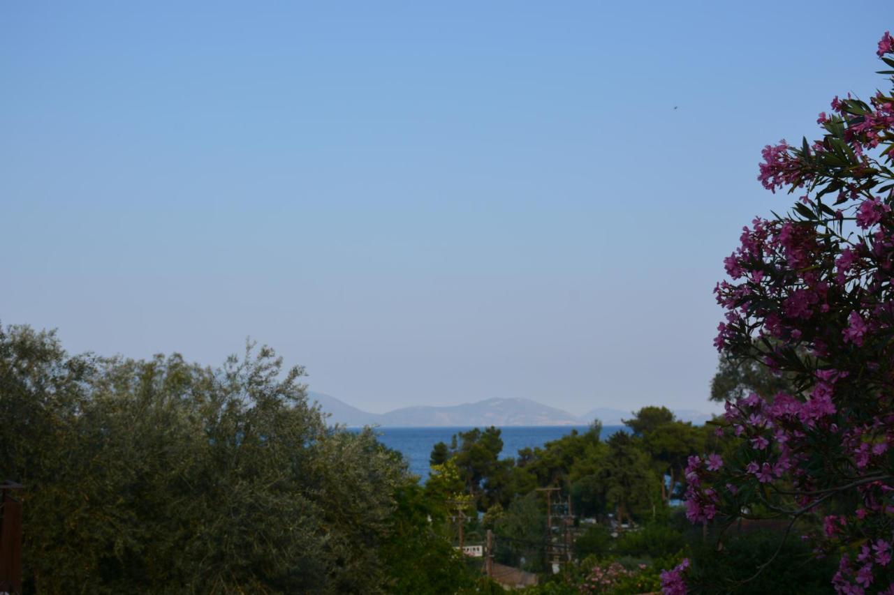 Aristotelis Epidaurus Luaran gambar