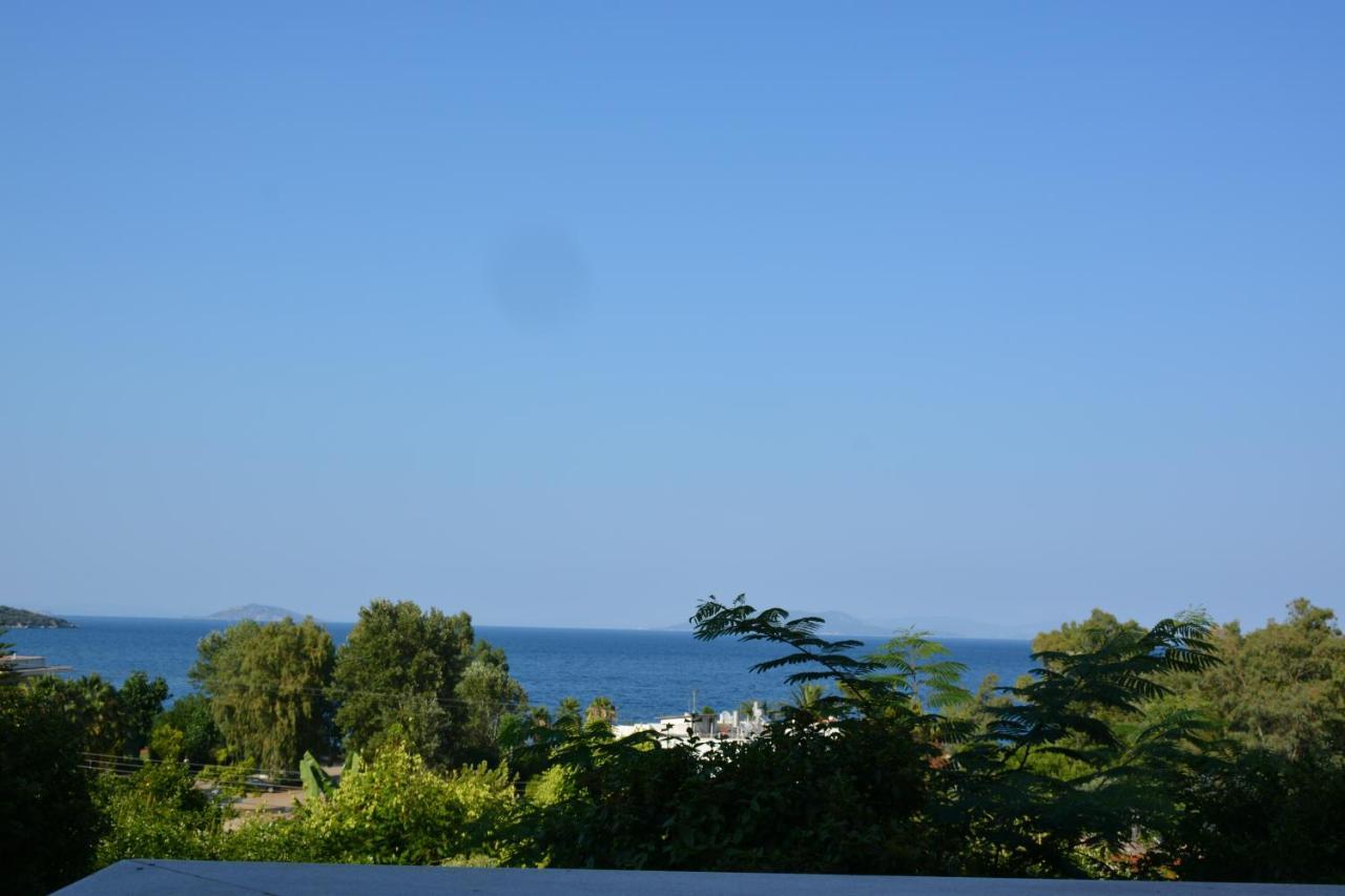 Aristotelis Epidaurus Luaran gambar